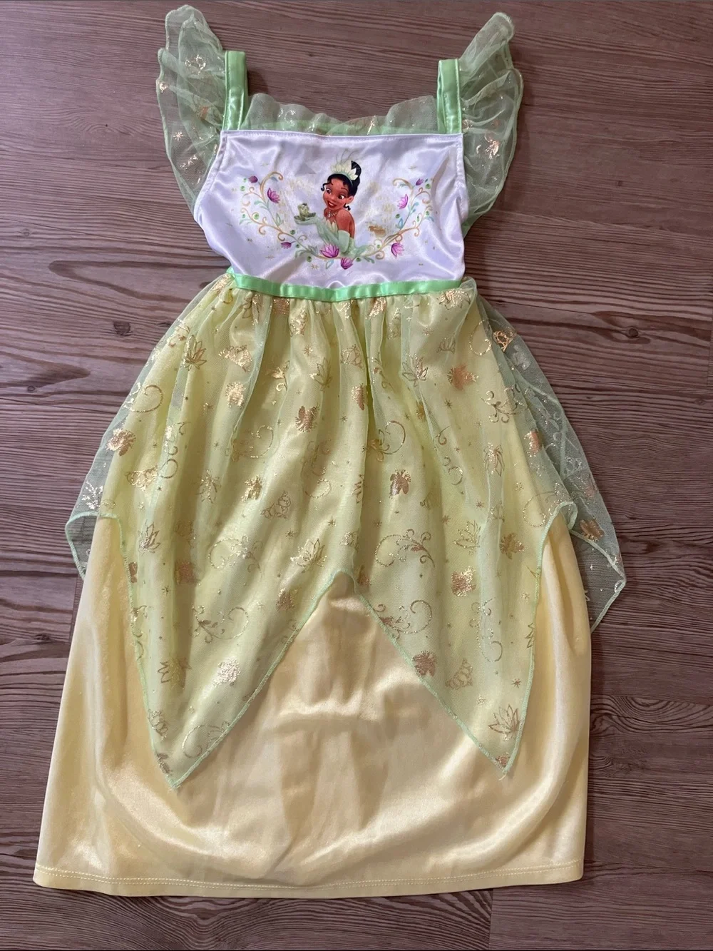 DISNEY Princess & the Frog TIANA fantasy nightgown. Sz 4T